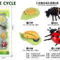 LocalID_2954 