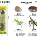LocalID_2955 