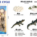 LocalID_2952 